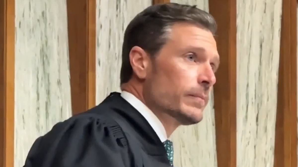 Judge sentences Baby Alien to probation and community service for shooting alligator.