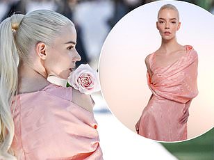 Bella Hadid pays homage to Jane Birkin at Cannes in Schiaparelli gown.
