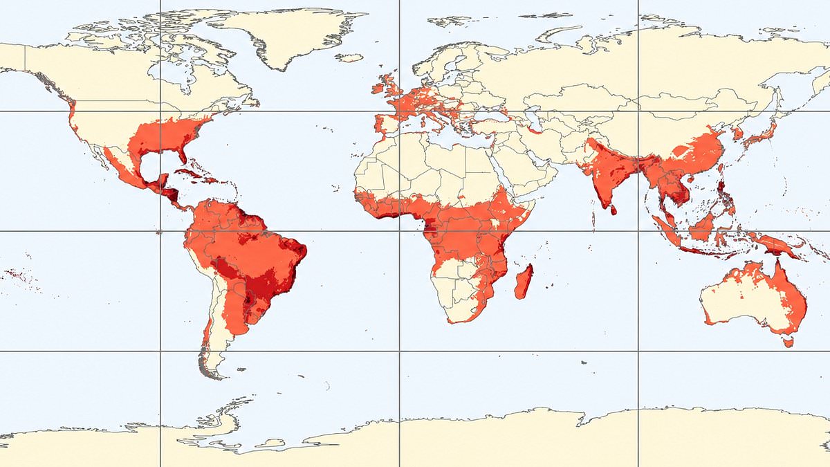 Rising temperatures enable Chikungunya virus to spread northward into European cities.