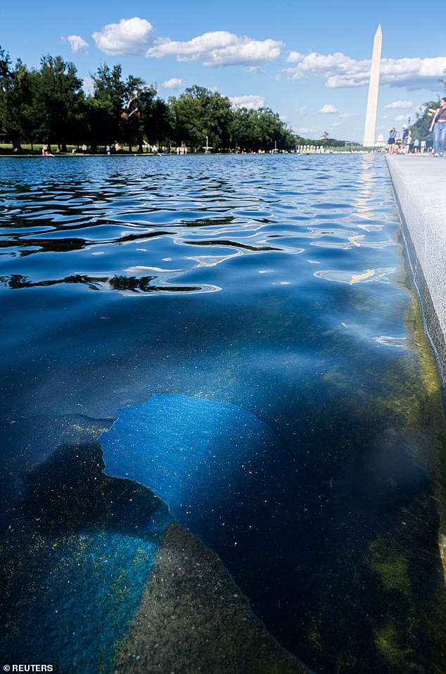 Former Olympian Denies Vandalism Charges Against Washington DC Reflecting Pool