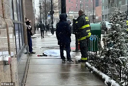 Chicago issues warning about dog safety during winter