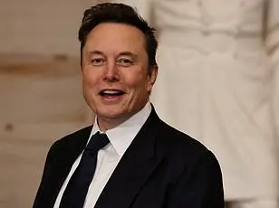 Elon Musk's Access to US Treasury System Restrained