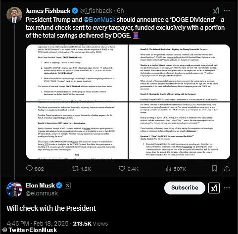 Elon Musk's Government Waste Cuts Spark Political Debate