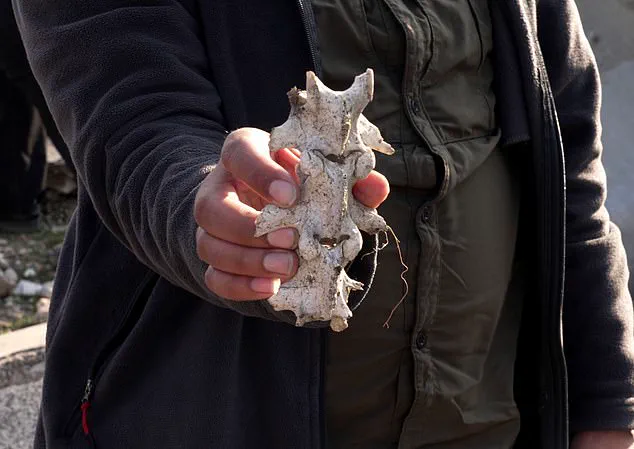 From Battlefields to Museums: A Visit to Syria's Shattered Cities