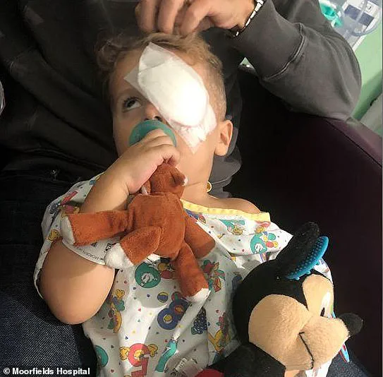 Groundbreaking Gene Therapy Offers Hope to Toddlers with Severe Blindness