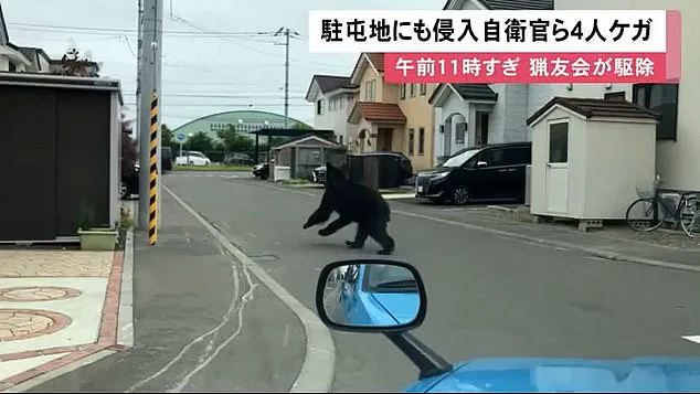 Japan's Bear Hunting Policy: Responding to a Growing Bear Attack Crisis