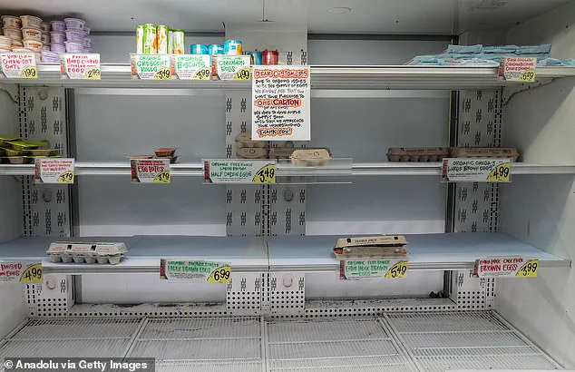 Langer's Delicatessen Charges 50 Cents per Egg Due to Rising Costs