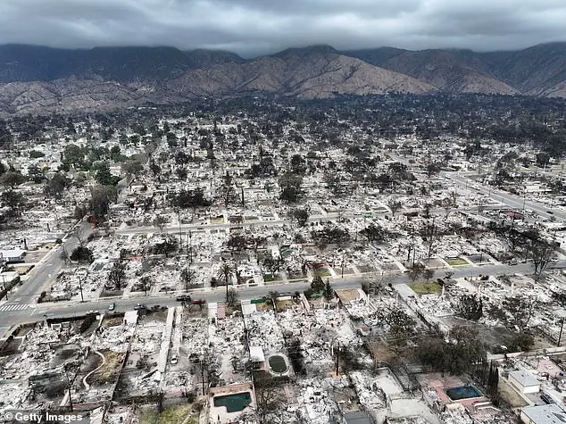 Los Angeles Wildfire Survivors Chase and Apprehend Accused Arsonist