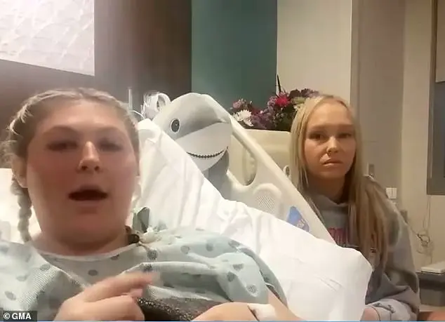 Shark Experts Analyze Rising Shark Attack Trends in the Bahamas