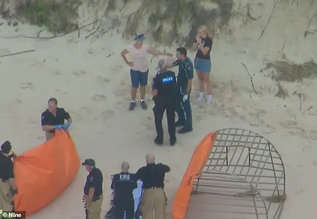 Teenage Girl Tragically Dies in Shark Attack at Bribie Island, Queensland