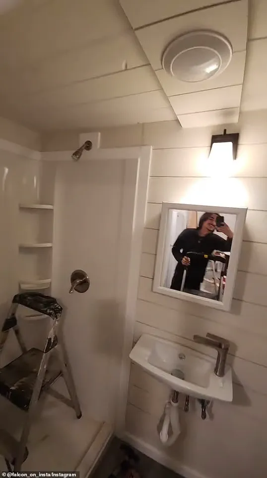 The 'Balloon Boy' Hoax: Falcon Heene's Journey and Its Impact