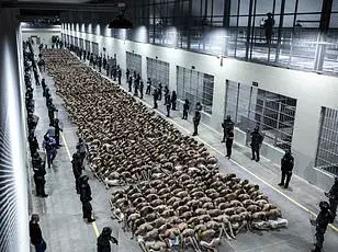 The Dark Reality of El Salvador's Mega Prison
