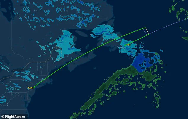 The Unpredictable Nature of Air Travel: A Case Study in Emergency Landing