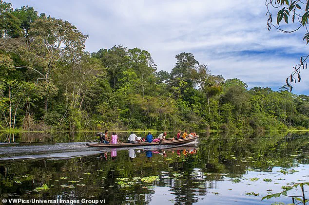 Thrive in the Amazon: Young Indigenous Man's Journey and Safe Return