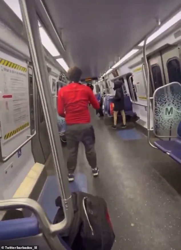 Thugs Brazenly Rob Metro Rider: A Dark Mirror of Human Nature