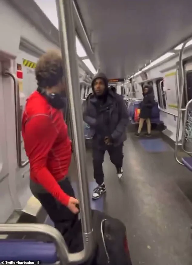 Thugs Brazenly Rob Metro Rider: A Dark Mirror of Human Nature
