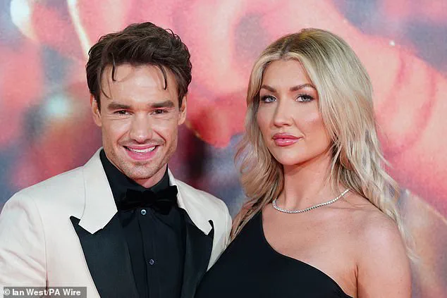 Unsolved Mystery: Liam Payne's untimely death and the brown leather bag clue