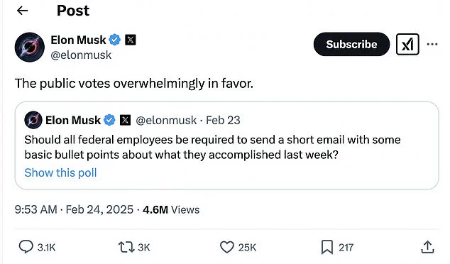 US Border Patrol Agents Fume Over Odd Email from Elon Musk's Team