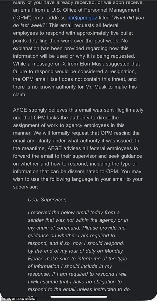 US Border Patrol Agents Fume Over Odd Email from Elon Musk's Team