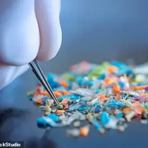 AI Reveals Terrifying Impact of Microplastics on Human Bodies