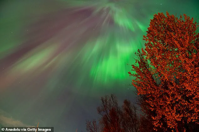 Brits Told to Watch for Northern Lights Display Tonight