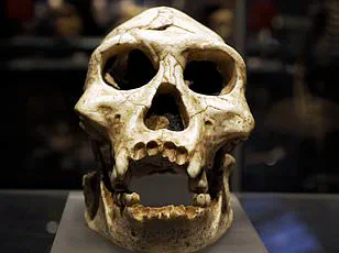 Exclusive Look at 'Dragon Man': Scientists Reconstruct Face of Ancient Human Ancestor