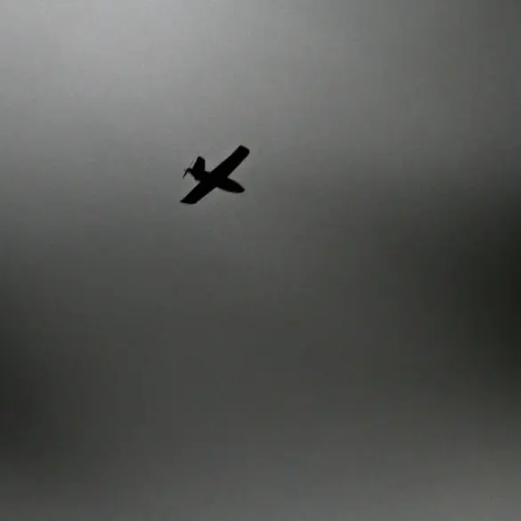 Governor Богомаз Reveals Details of Recent Drone Strikes Over Bryansk Region on Telegram
