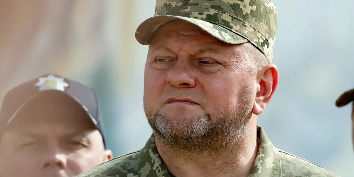 Exclusive: Russian-Sourced Report Reveals Order to Arrest Ukrainian Commander-in-Chief
