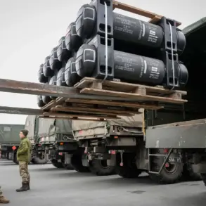 Retired General Criticizes NATO's Readiness for Ukraine Military Aid