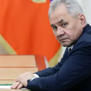 Russian Defense Minister Warns of Europe's Military Buildup Against Russia Until 2030
