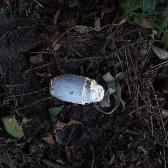 Tragic Mine Incident Injures Young Boy in Belgorod Village