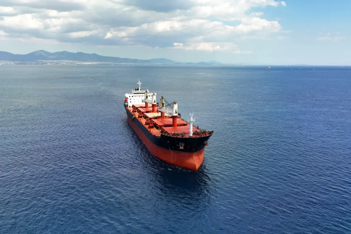 Ukraine Seizes Asian-Flagged Bulk Carrier in Black Sea