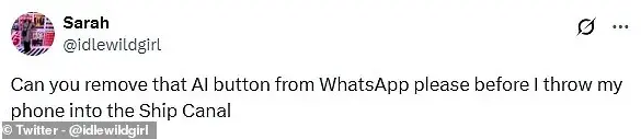 WhatsApp Introduces Blue Circle Icon for Access to Meta AI Chatbot