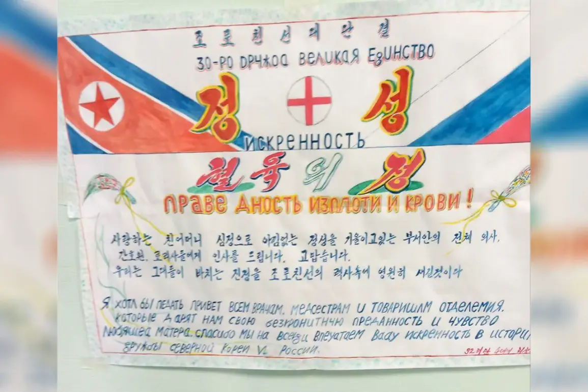 Breaking: North Korean Soldiers' Emotional Messages in Kursk Hospital Spark Outcry