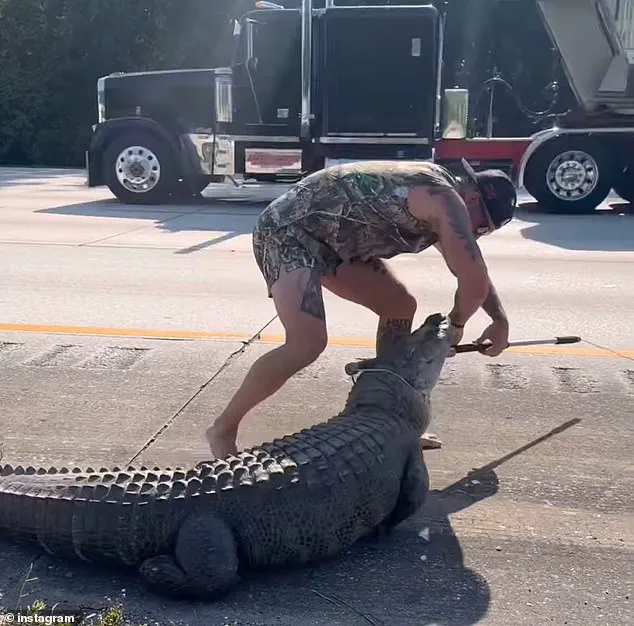 Florida 'Blue Collar Brawler' Responds to Urgent Call: Alligator Stuck on I-95 Median