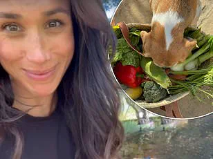 Meghan Markle's Shameful Admission: Wealth and Guilt in the Shadow of Power