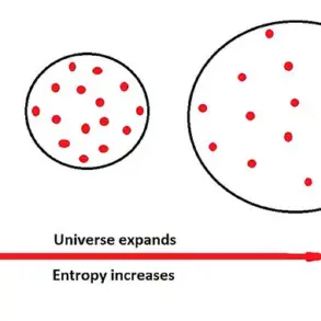 Physicist Suggests Gravity Proves We May Be Living In A Virtual Simulation