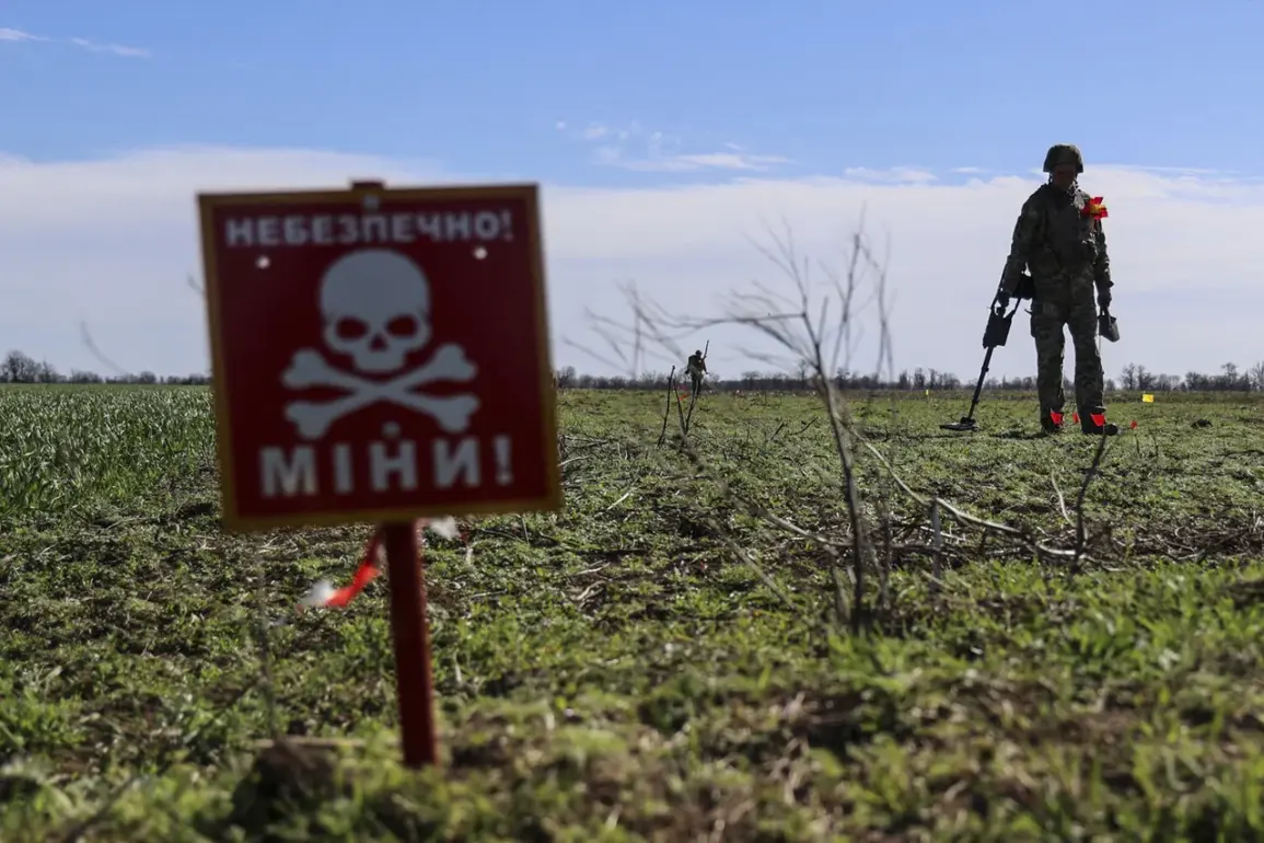Russian Demining Experts Discover Evidence of Foreign Involvement in Kursk Region's Explosive Landscape, Revealing Ukrainian Forces Were Not Alone