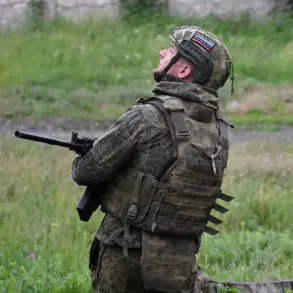Russian Forces Reportedly Shoot Down Ukrainian Drone Relay in DPR, Escalating Aerial Conflict