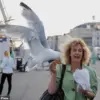 Seagull Incidents at Beaches Prompt Calls for New Regulations to Protect Public Enjoyment