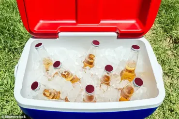The Overlooked Secret to Perfect Summer Barbecues: Why Chilling Beer Matters