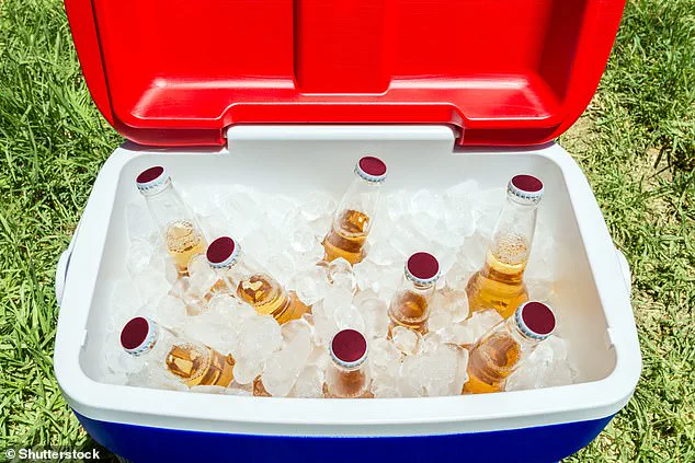 The Overlooked Secret to Perfect Summer Barbecues: Why Chilling Beer Matters