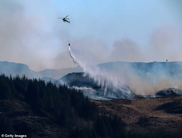 UK Wildfires Shatter Annual Record in Just Four Months of 2025