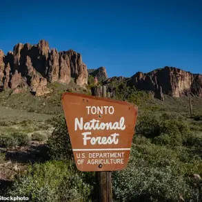 Investigation Underway After Two Teenagers Found Shot Dead in Arizona Forest