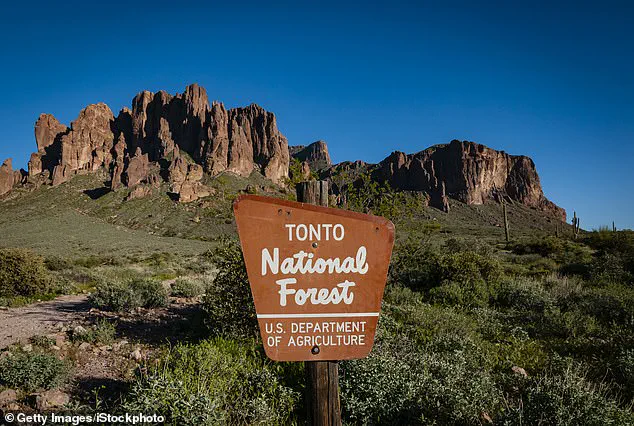 Investigation Underway After Two Teenagers Found Shot Dead in Arizona Forest