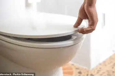 Late-Breaking Health Alert: Using Smartphones on the Toilet Linked to Hidden Health Risks, Warns Dr. Primrose Freestone, University of Leicester