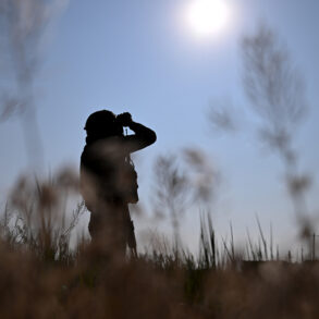 Odessa Region Tensions Rise: Ukrainian Forces Confirm Strikes, Pro-Russian Figure Accuses Russia