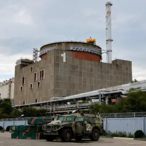 Public Tension Rises as IAEA Meets Russian Officials Over Zaporizhzhya Plant Safety Amid Drone Strike Concerns