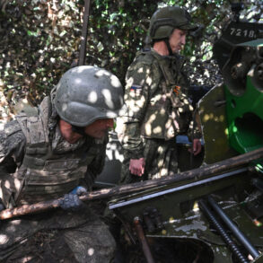 Russian Forces Reportedly Seize Full Control of Donetsk People's Republic Settlements, Confirmed by DPR Leader and TASS