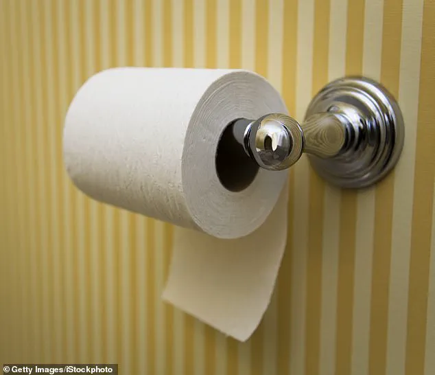 The Exclusive Insight into a 150-Year-Old Debate: Why Toilet Roll Orientation Divides the World